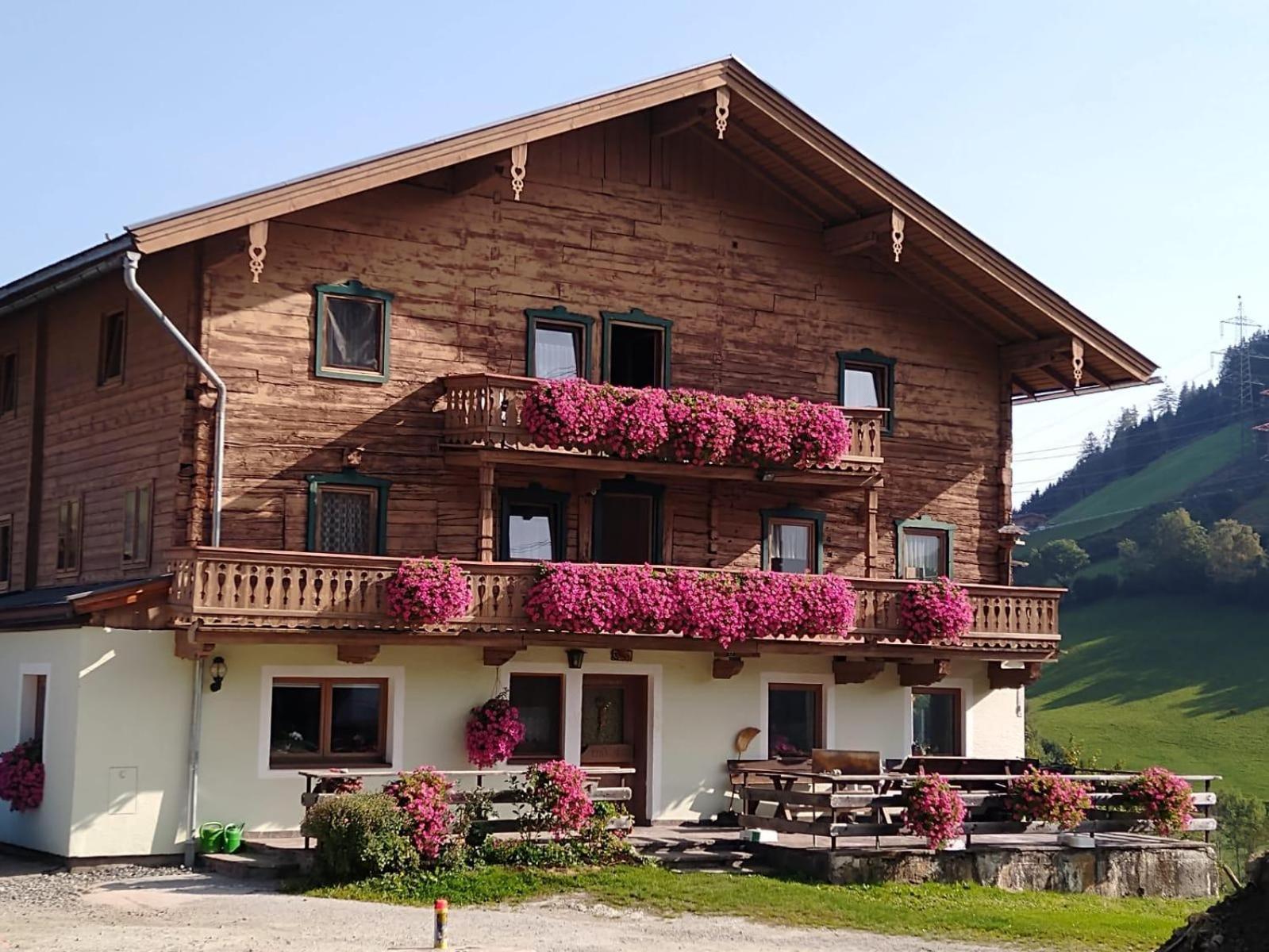 Hintergugg Villa Mittersill Ngoại thất bức ảnh